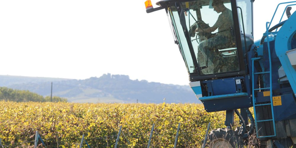 Vendanges 2021 au Domaine de Fontenille